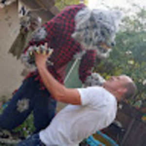 Meet your Posher, Justin